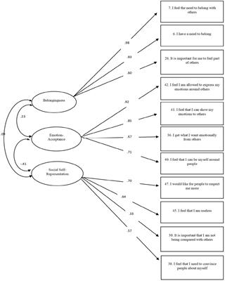 Revisiting the “The Breakfast Club”: Testing Different Theoretical Models of Belongingness and Acceptance (and Social Self-Representation)